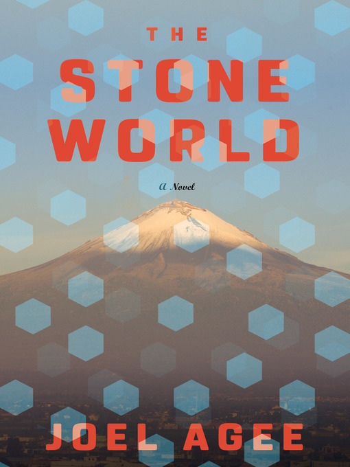 Cover image for The Stone World